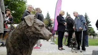 Odsłonięcie rzeźby psa Miśka - miejskiej legendy