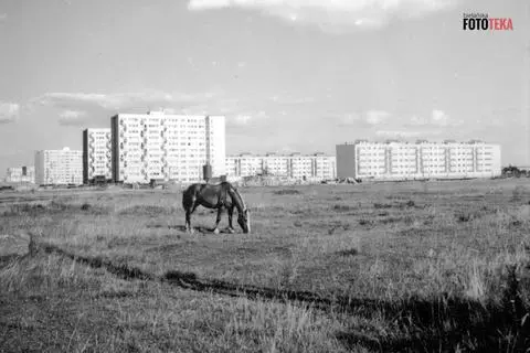 Widok na osiedle Wrzeciono od strony Huty Warszawa