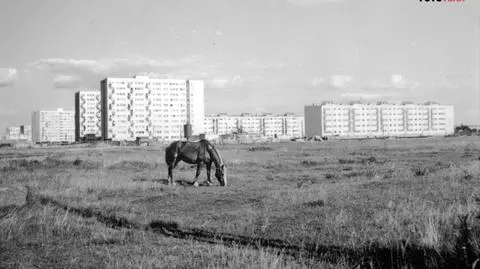 Widok na osiedle Wrzeciono od strony Huty Warszawa