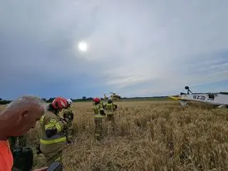 Do zdarzenia doszło w miejscowości Bielawa