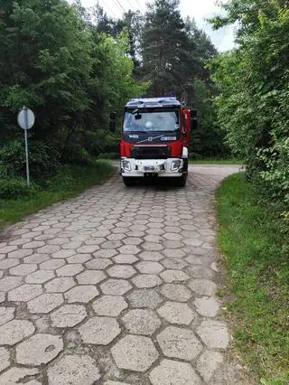 Samochód wjechał do stawu 