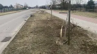 Przejechał przez rondo w Wieliszewie, trafił do szpitala