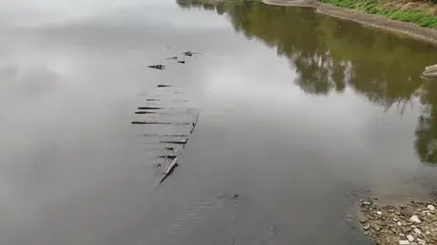 Łomianki