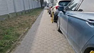 Interwencja straży miejskiej przy ulicy Iwickiej 