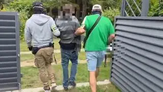 Piaseczno. Policja zabezpieczyła krzewy konopi indyjskiej