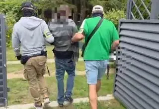 Konopie między pomidorami. Policjanci zatrzymali działkowicza