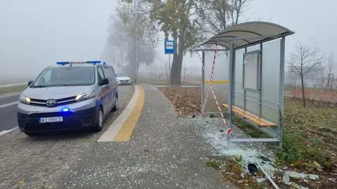 Uderzył w przystanek, auto i barierki. "Kierowca miał problem zdrowotny"