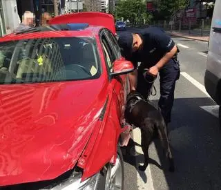 Zatrzymany mężczyzna usłyszał zarzuty i trafił do aresztu