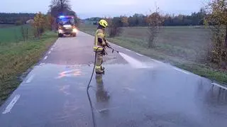 Auto osobowe zderzyło się z łosiem w gminie Pomiechówek