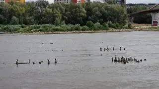 Rekordowo niski stan Wisły