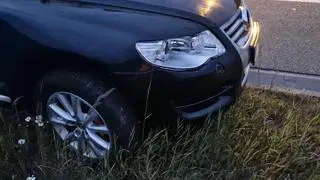 Potrącenie łosia na S2