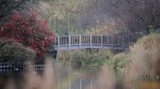 Prace na Stawach Brustmana