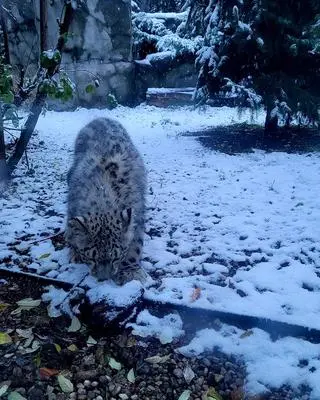 Pamir przywitał pierwszy śnieg 