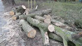Zniszczone auta na Woli 