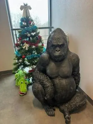 Policjanci odzyskali "uprowadzoną" figurę goryla