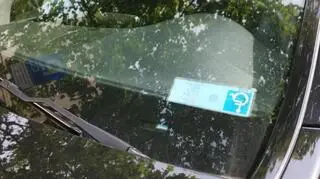 Zaparkował na kopercie, miał skserowaną kartę 