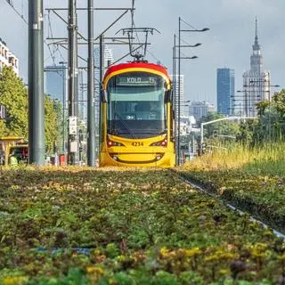 Na tory wyjechała nowa linia 19