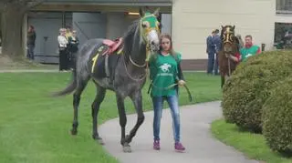 72. sezon na służewieckim torze