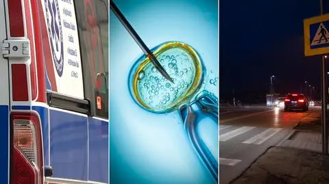 Karetki, in vitro, doświetlanie przejść dla pieszych. Mieszkańcy rozdysponowali 25 milionów złotych