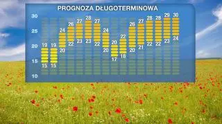 Prognoza pogody na 16 dni