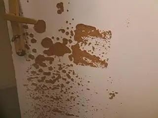 Warunki w domu studenckim "Żaczek"
