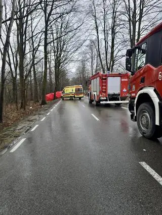 Samochód uderzył w drzewo, nie żyją dwie osoby