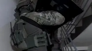 "Shadow hunters" in action