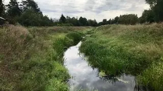 Ujście rzeki Długiej do Kanału Żerańskiego