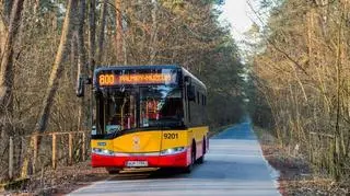 Autobus do Palmir