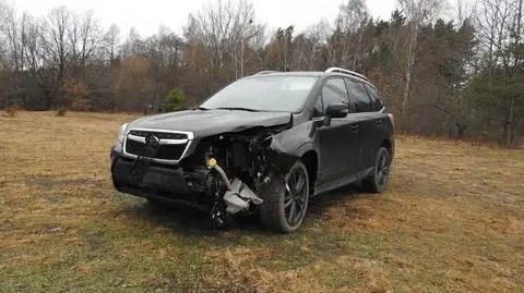 Rozbite auto na polu do disc golfa. "Nie prowadzi tam żadna ulica"