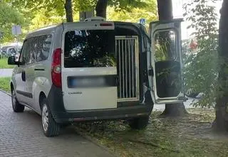Podejrzany o makabryczną zbrodnię może uniknąć więzienia