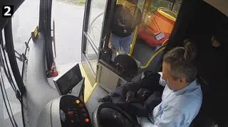 Kierowca autobusu ratował sarnę leżącą przy drodze