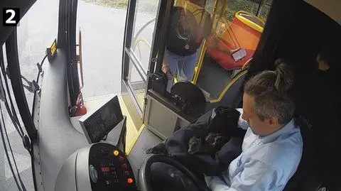 Młoda sarna potrzebowała pomocy. Zatrzymał autobus, zawinął zwierzę we własną kurtkę