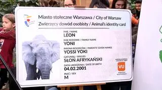 Dowód osobisty słonia Leona