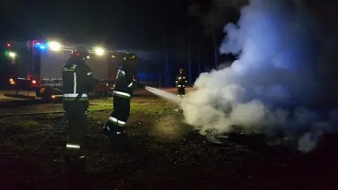 Pożar lasu w Falenicy