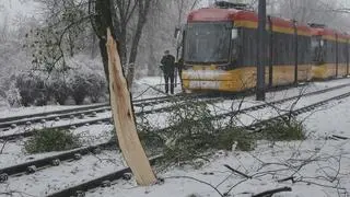 Drzewo uszkodziło sieć trakcyjną