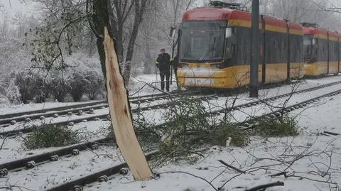 Drzewo uszkodziło sieć trakcyjną na Bemowie. "20" kursowała na skróconej trasie