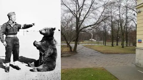 Obok Andersa i Żołnierzy Tułaczy szykują miejsce dla Wojtka