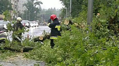 Powalone drzewo zablokowało Belwederską