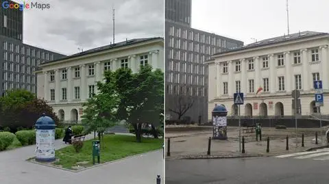 Wycięli drzewa pod nosem urzędników. Rzecznik nie dowierza