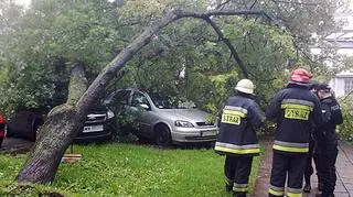 fot. Tomasz Zieliński/tvnwarszawa.pl