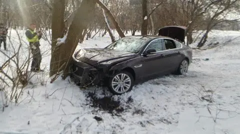 Jaguar wypadł z drogi, uderzył w drzewo