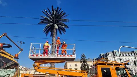 Tramwaj zerwał sieć trakcyjną. Wstrzymano ruch na kilka godzin