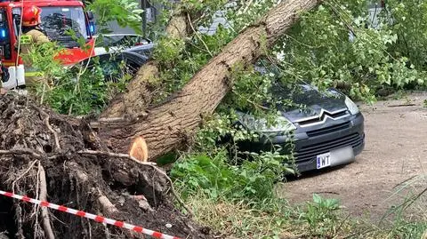 Drzewo spadło na auto osobowe i ambulans