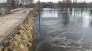 Woda z rzeki Bug podeszła pod gospodarstwa