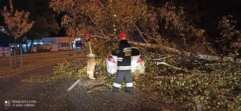 Do zdarzenia doszło na Szpotańskiego