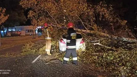 Na Woli wiatr wywrócił mur, na Foksal znak uderzył pieszą. W Wawrze drzewo spadło na jadący samochód