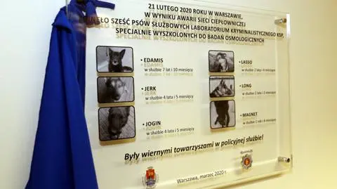 Upamiętnili sześć psów, które zginęły w skutek awarii 