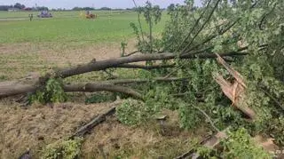 Wypadek w miejscowości Stróżewko