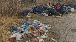 Dzikie wysypisko przy ul. Liczydło (2020 rok)